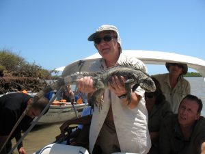 delta les iguanes